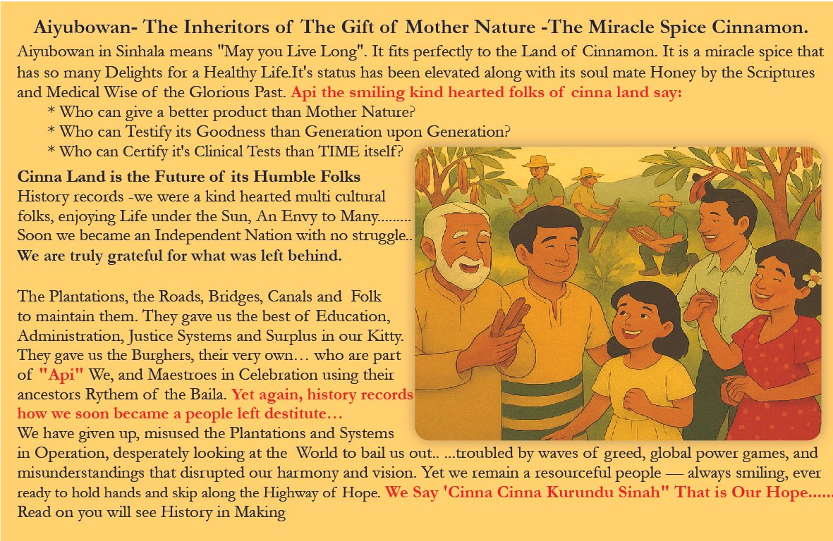 “Project “Api” WE Can Book-15